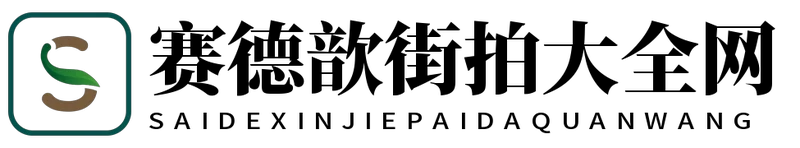 赛德歆街拍大全网